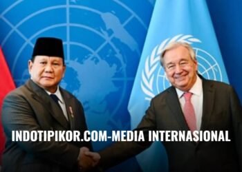 IMO Apresiasi Penunjukan Indonesia sebagai Calon Presiden Dewan HAM PBB