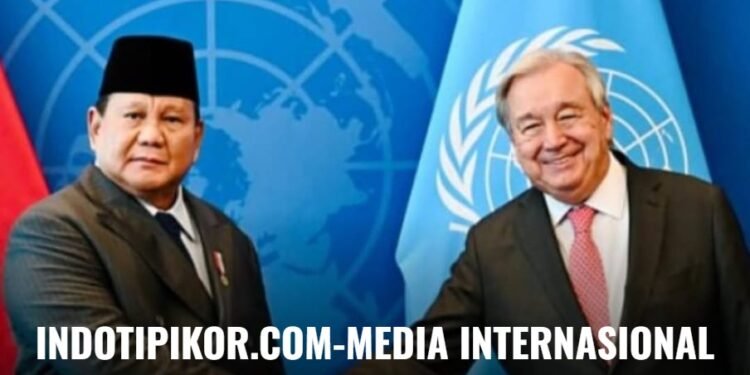 IMO Apresiasi Penunjukan Indonesia sebagai Calon Presiden Dewan HAM PBB