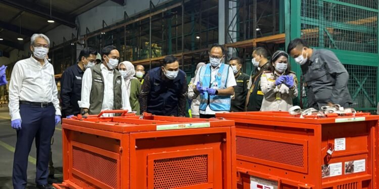 DUKUNG KONSERVASI PRIMATA DAN DIPLOMASI HIJAU, GARUDA INDONESIA FASILITASI REPATRIASI EMPAT ORANG UTAN DARI THAILAND