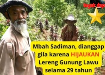 Penyelamat Alam Pernah dianggap aneh bahkan “gila” oleh sebagian warga, Mbah Sadiman, lebih dari 11.000 pohon beringin dan ficus telah ia tanam,