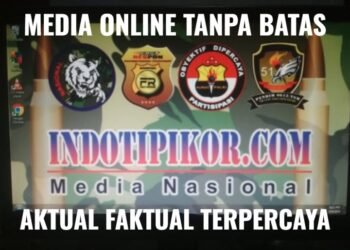 Berikut adalah nomor kontak untuk BNN (Badan Narkotika Nasional) dan Rumah Sakit PON (Pusat Otak Nasional):
