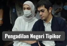 Anak Riza Chalid Divonis 15 Tahun Penjara, Wajib Bayar Uang Pengganti Rp2,9 Triliun
