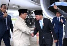 Presiden Prabowo Kembali ke Tanah Air, Perjuangkan Solusi Dua Negara dan Lompatan Kerja Sama Ekonomi