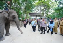 Kapolri-Titiek Soeharto Tinjau TNTN: Dukung Pelestarian Gajah hingga Tanam Pohon