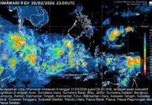 Membaca Jejak Kelam 1907: Mengapa Talaud Tak Boleh Lupa