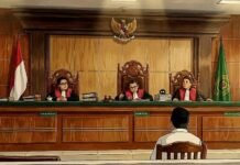 Penyu Bukan untuk Dipelihara: PN Wangi-Wangi Vonis Kasus Satwa Ilegal