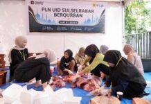 PT PLN (Persero) menyalurkan 2.122 hewan kurban dalam rangka perayaan Iduladha 1447 Hijriah.