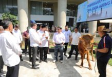 Jaksa Agung,Prof ST Burhanudin mengajak seluruh jajaran Korps Adhyaksa agar menghidupkan syiar Islam melalui ibadah kurban serta berbagi kebahagiaan kepada sesama.