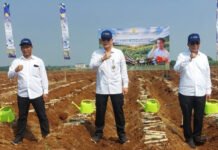 Kementerian Pertanian (Kementan) Gelar Tanam Serentak Komoditas Perkebunan di 12 Provinsi .