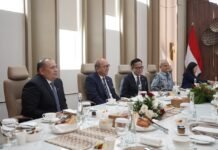 Danantara Dorong Kepercayaan Global pada Perekonomian Indonesia
