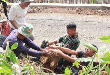 Tak Ada yang Berdiri Menonton, Semua Turun Tangan: Potret Gotong Royong TMMD ke-129 di Parungponteng