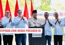 Presiden Prabowo Optimistis PLTS 100 GWp Perkuat Kemandirian Energi Nasional