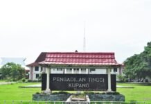 Pengadilan Tinggi (PT) Kupang, Provinsi Nusa Tenggara Timur menguatkan putusan Pengadilan Negeri (PN) Waingapu yang menjatuhkan pidana