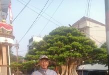 Ketua Umum FORSIMEMA: Makna HUT Kemerdekaan RI ke-81 Adalah Moment Mawas Diri dan Menguatkan Kepekaan Kepedulian Antarsesama Anak Bangsa