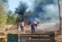 Kebakaran Lahan Seluas 5 Hektare di Banjarsari Ciamis Berhasil Dipadamkan