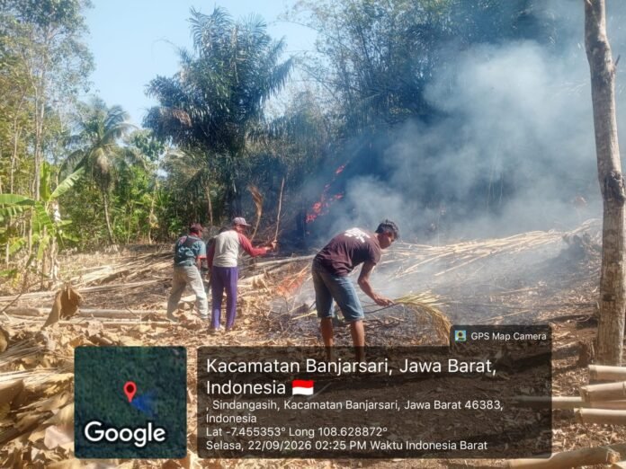 WhatsApp Image 2026-03-31 at 08.34.35