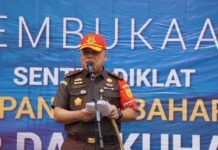 Kabadiklat Harli Siregar: Jaksa Harus Siap Kawal Implementasi KUHP dan KUHAP Baru