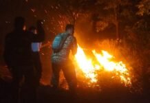 Kebakaran Lahan Kosong Seluas 2 Hektare di Desa Sanca Indramayu Berhasil Dipadamkan