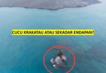 MISTERI DARATAN BARU DI PERAIRAN KRAKATAU: CUCU KRAKATAU ATAU SEKADAR ENDAPAN?