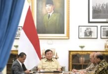 Presiden Prabowo Instruksikan Transformasi Menyeluruh PLN, Fokus Efisiensi dan Percepat Energi Surya 100 GW