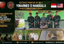 Gencarkan Komsos dan Edukasi Hukum, Satgas Pamtas Yonarmed 13/Nanggala Terima Penyerahan Sukarela 1 Ekor Trenggiling Hidup dari Warga Perbatasan