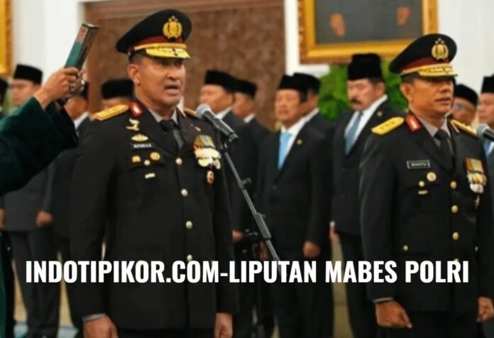 WhatsApp Image 2026-10-03 at 16.24.50
