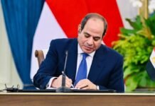 Presiden El-Sisi: Kemitraan Strategis Indonesia-Mesir Buka Peluang Kerja Sama Lebih Luas
